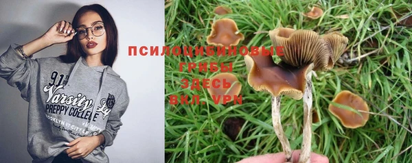 крисы Алексеевка