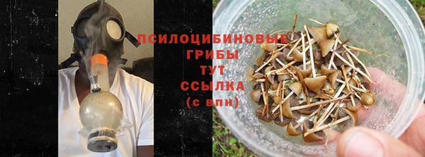 соль ск Алзамай