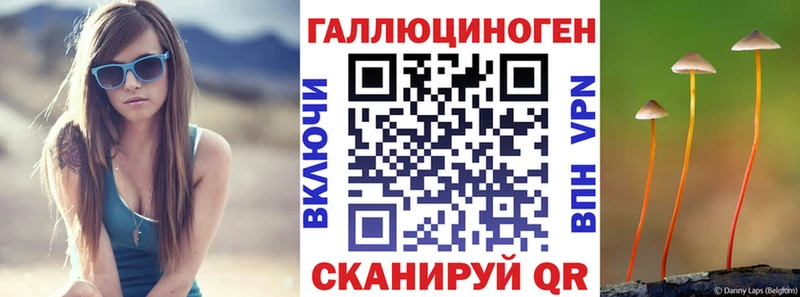 Псилоцибиновые грибы GOLDEN TEACHER  гидра как войти  Пучеж 
